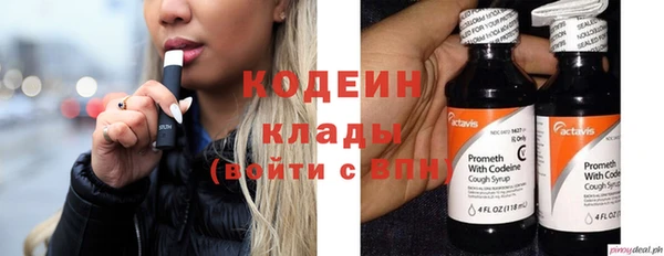 кокс Ельня