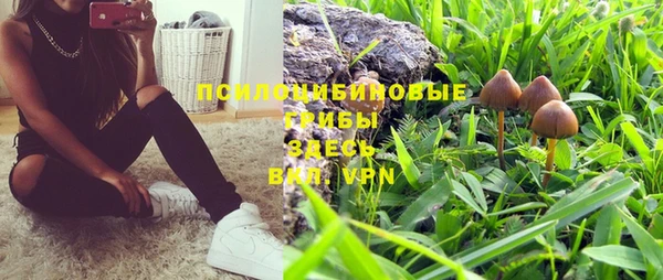 кокс Ельня