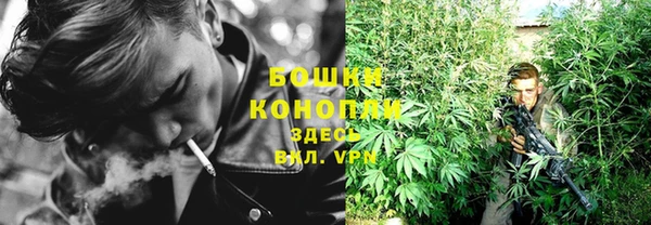 ПСИЛОЦИБИНОВЫЕ ГРИБЫ Елизово